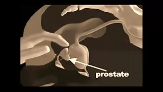 Rosyjski nastolatek filmiki xxl babe został fucked przez brutalny masażysta